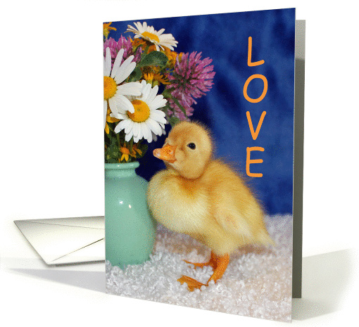 Love card (1016763)