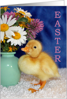 Easter Blessings - Baby Duckling with Wild Flowers card