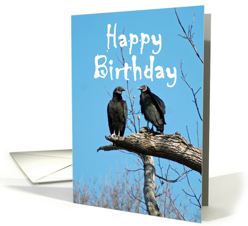 Happy Birthday, You Buzzard card (1044987)