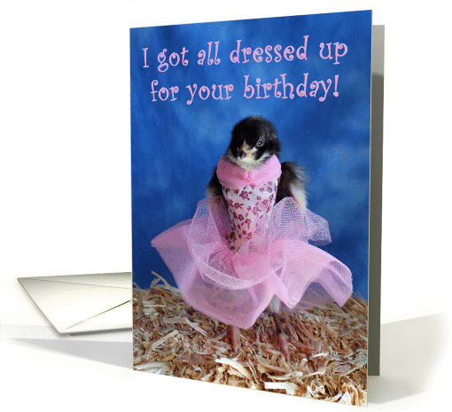 Birthday - Baby Chick in Pink Dress card (924065)