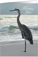 Missing You - Great Blue Heron at Beach card