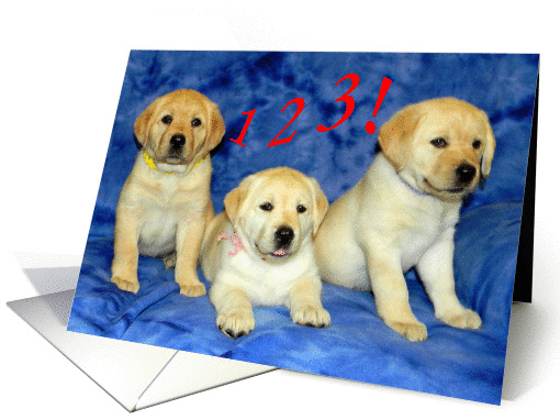 Happy Third Birthday - Three Yellow Labrador Retriever Puppies card