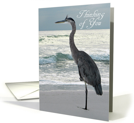 Thinking of You - Great Blue Heron card (928302)