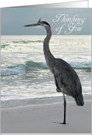Thinking of You - Great Blue Heron card