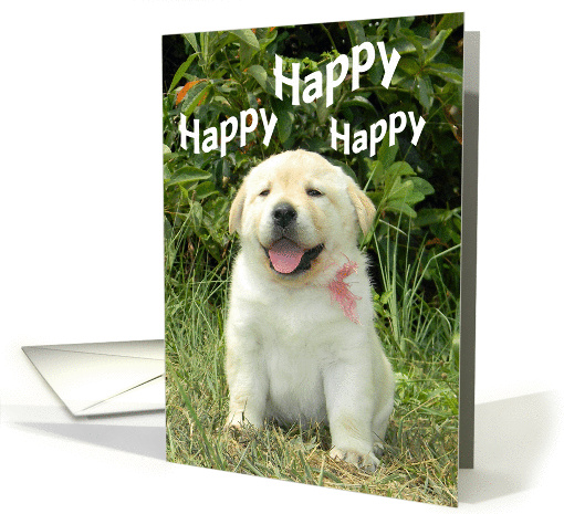 Happy Birthday - Yellow Labrador Retriever Puppy card (928430)