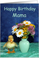 Happy Birthday Mama ...