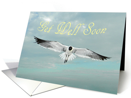 Get Well - Seagull card (928726)