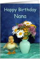 Happy Birthday Nana - Yellow Pekin Duckling with Wild Flowers card