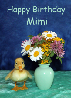 Happy Birthday, Mimi...