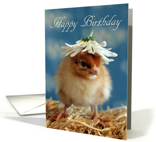 Happy Birthday - Isa Brown Baby Chick with Daisy Hat card (929721)