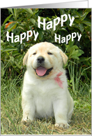 Happy Birthday - Yellow Labrador Retriever Puppy card