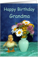 Happy Birthday Grandma - Yellow Pekin Duckling with Wild Flowers card