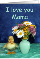 I Love You Mama - Get Well - Yellow Pekin Duckling with Wild Flowers card