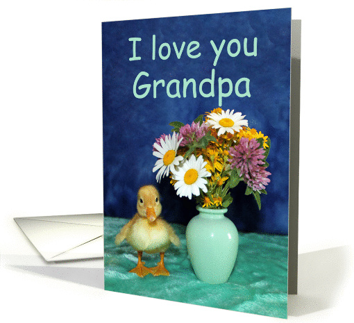 I Love You Grandpa, Get Well - Duckling with Wild Flowers card