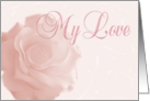 Love and romance, pink rose card