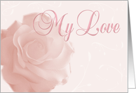 Love and romance, pink rose card