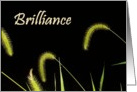 The brilliance of simplicity accomplishment card