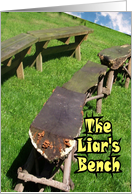 The Liar’s Bench card