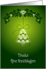 Dutch Christmas card for Tineke card