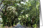 Country Road Mississippi Blank card