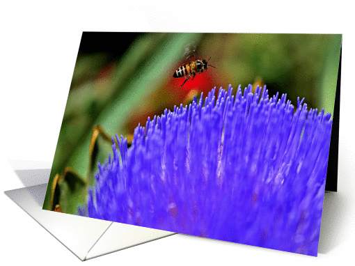 Bee Happy Blank card (1117526)