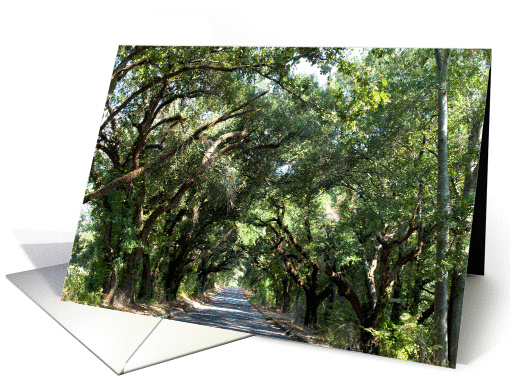 Country Road Mississippi Blank card (1153646)