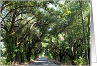 Country Road Mississippi Blank card