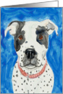 Black White Dog Pit Bull Watercolor Painting Blank Note Card