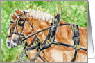 Watercolor Draft Horses Painting Blank Note Card