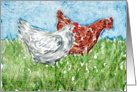 Chickens Farm Animal Pasture Blank Note Card