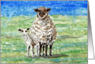 Sheep Farm Animal Pasture Blank Note Card