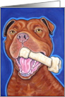 Red Nose American Pit Bull Terrier Dog Bone blank note card