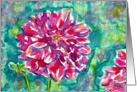 Colorful Pink Purple Dahlia Flower Painting Blank Card