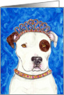 Queen Tiara American Pit Bull Terrier Dog Blank Card