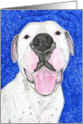 White American Bulldog Pit Bull Terrier Dog Painting Blank Card
