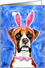 Happy Easter Pink Bunny Ears Boxer Dog Painting \ card