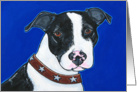 Black White Pit Bull Terrier Dog Painting Blank Card Any Occassion card