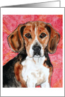 Beagle Hound Dog Painting Blank Card Any Occassion card