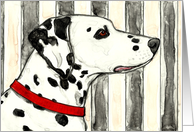 Dalmatian Dog Watercolor Stripes Painting Blank Card Any Occassion card