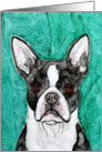 Boston Terrier Dog Watercolor Art Blank Any Occasion Card