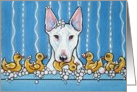White Bull Terrier Dog Rubber Duck Bathtime Blank Note Card