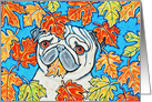 Fall Autumn Maple Leaves Pug Puppy Dog Blank card