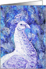 Purple Blue Peacock Bird Feathers Blank card