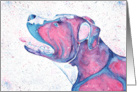 Purple Blue Pink American Pit Bull Terrier Dog Blank card