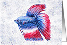 Siamese Betta Fish Red White Blue Watercolor Art Blank card