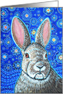 Colorful Bunny Rabbit Starry Night Blue Sky Star Blank card