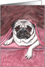 Colorful Rose Mauve Fawn Pug Pet Dog Bed Art Watercolor Painting Blank card