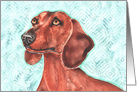 Dachshund Doxie Cut Dog Colorful Pet Art Watercolor Painting Blank card