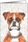 Boxer Dog Paint Splatter Colorful Watercolor Heart Abstract Painting card