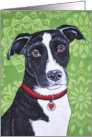 Black and White Canine Dog Mandala Flower Art Painting card
